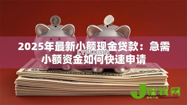 2025年最新小额现金贷款：急需小额资金如何快速申请