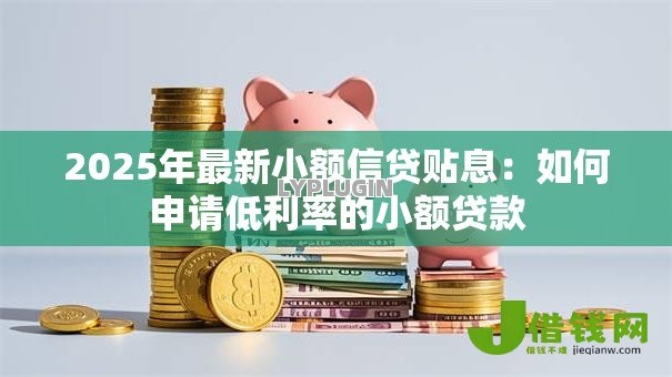 2025年最新小额信贷贴息：如何申请低利率的小额贷款