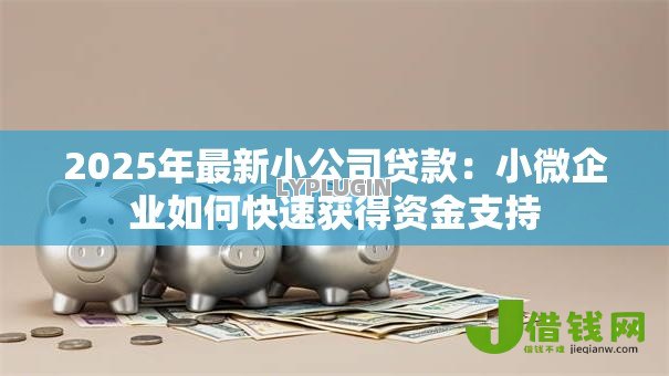 2025年最新小公司贷款:小微企业如何快速获得资金支持 2025年最新小公司贷款:小微企业如何快速获得资金支持