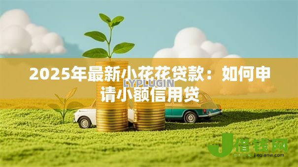 2025年最新小花花贷款：如何申请小额信用贷