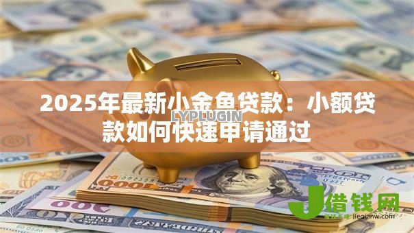 2025年最新小金鱼贷款:小额贷款如何快速申请通过 2025年最新小金鱼贷款:小额贷款如何快速申请通过