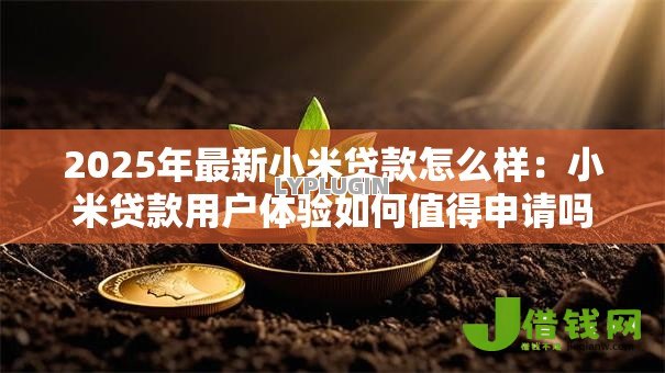 2025年最新小米贷款怎么样：小米贷款用户体验如何值得申请吗