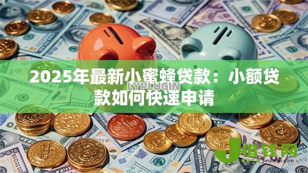 2025年最新小蜜蜂贷款：小额贷款如何快速申请