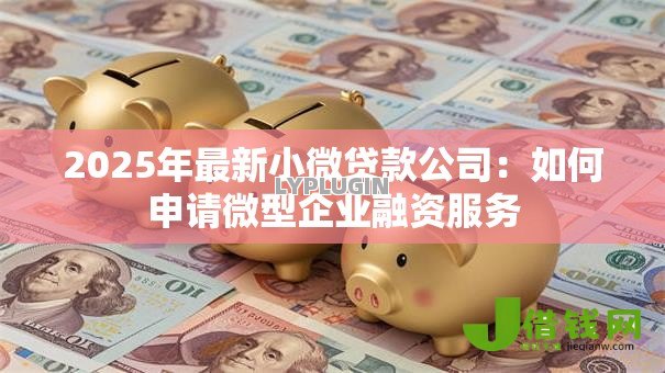 2025年最新小微贷款公司：如何申请微型企业融资服务