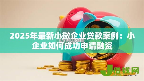 2025年最新小微企业贷款案例:小企业如何成功申请融资 2025年最新小微企业贷款案例:小企业如何成功申请融资