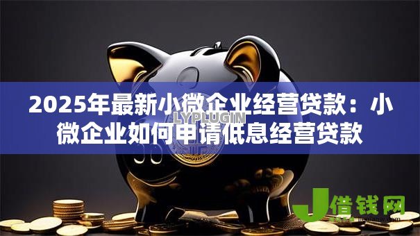 2025年最新小微企业经营贷款：小微企业如何申请低息经营贷款