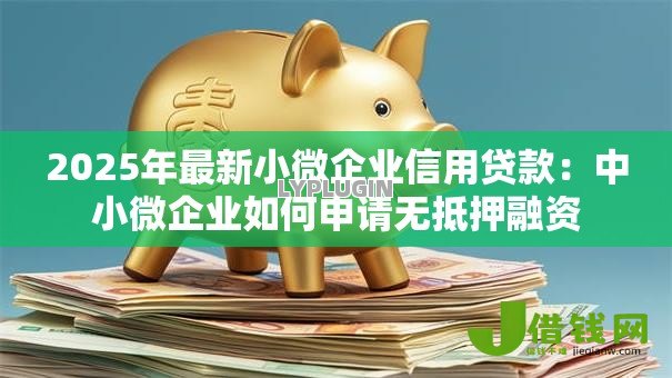 2025年最新小微企业信用贷款：中小微企业如何申请无抵押融资