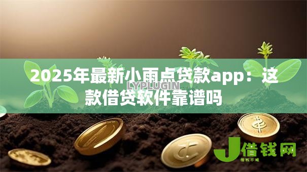 2025年最新小雨点贷款app:这款借贷软件靠谱吗 2025年最新小雨点贷款app:这款借贷软件靠谱吗
