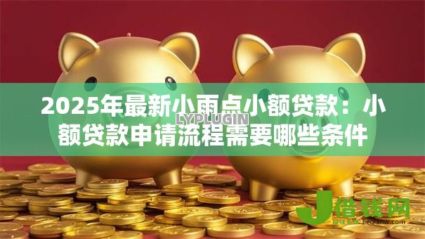 2025年最新小雨点小额贷款:小额贷款申请流程需要哪些条件 2025年最新小雨点小额贷款:小额贷款申请流程需要哪些条件