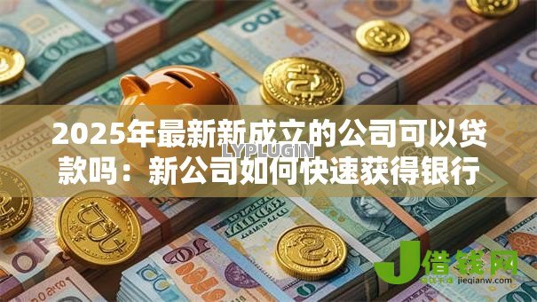 2025年最新新成立的公司可以贷款吗：新公司如何快速获得银行贷款