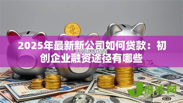2025年最新新公司如何贷款：初创企业融资途径有哪些