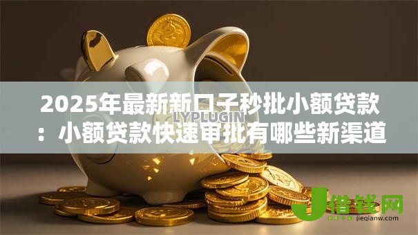 2025年最新新口子秒批小额贷款：小额贷款快速审批有哪些新渠道