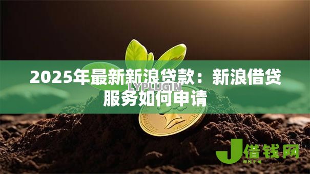 2025年最新新浪贷款:新浪借贷服务如何申请 2025年最新新浪贷款:新浪借贷服务如何申请