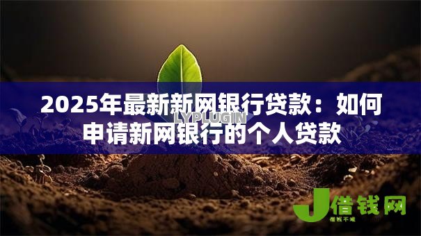 2025年最新新网银行贷款：如何申请新网银行的个人贷款