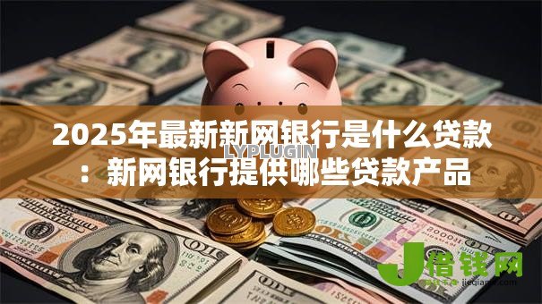 2025年最新新网银行是什么贷款：新网银行提供哪些贷款产品
