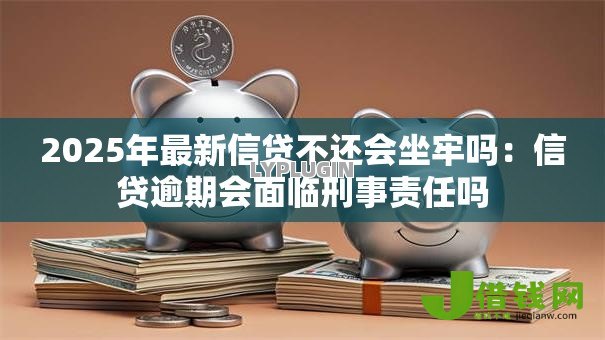2025年最新信贷不还会坐牢吗：信贷逾期会面临刑事责任吗