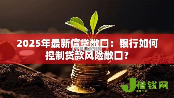 2025年最新信贷敞口:银行如何控制贷款风险敞口? 2025年最新信贷敞口:银行如何控制贷款风险敞口?