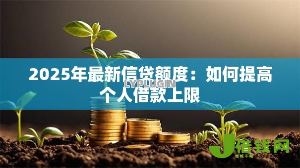 2025年最新信贷额度：如何提高个人借款上限