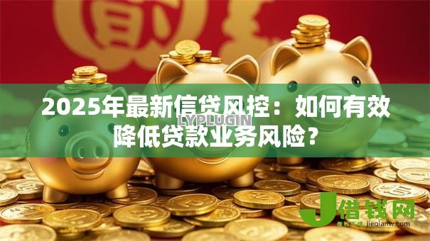 2025年最新信贷风控：如何有效降低贷款业务风险？