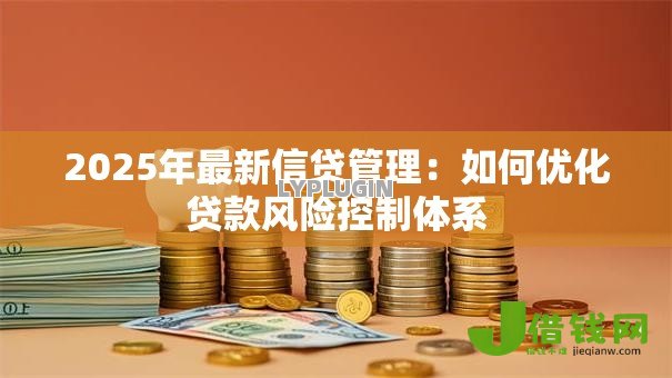 2025年最新信贷管理：如何优化贷款风险控制体系