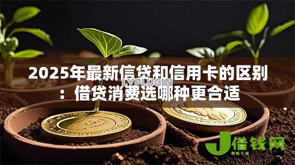 2025年最新信贷和信用卡的区别：借贷消费选哪种更合适