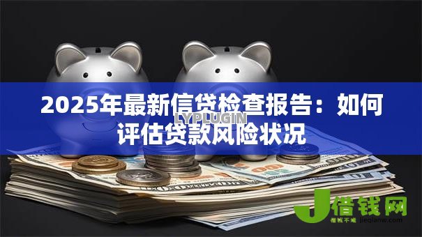 2025年最新信贷检查报告:如何评估贷款风险状况 2025年最新信贷检查报告:如何评估贷款风险状况