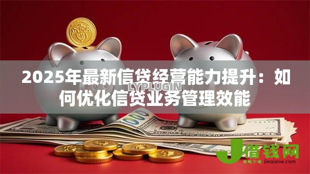 2025年最新信贷经营能力提升：如何优化信贷业务管理效能