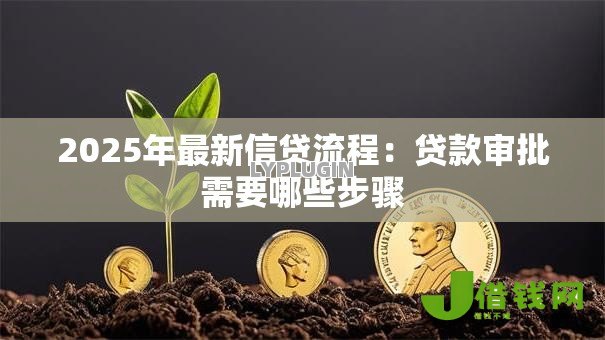 2025年最新信贷流程：贷款审批需要哪些步骤