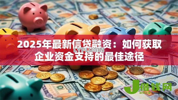 2025年最新信贷融资：如何获取企业资金支持的最佳途径