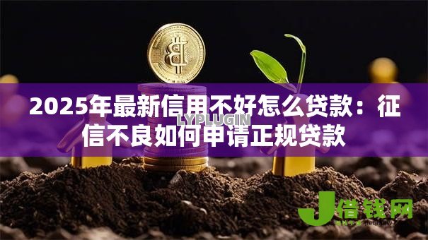 2025年最新信用不好怎么贷款:征信不良如何申请正规贷款 2025年最新信用不好怎么贷款:征信不良如何申请正规贷款