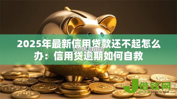 2025年最新信用贷款还不起怎么办:信用贷逾期如何自救 2025年最新信用贷款还不起怎么办:信用贷逾期如何自救
