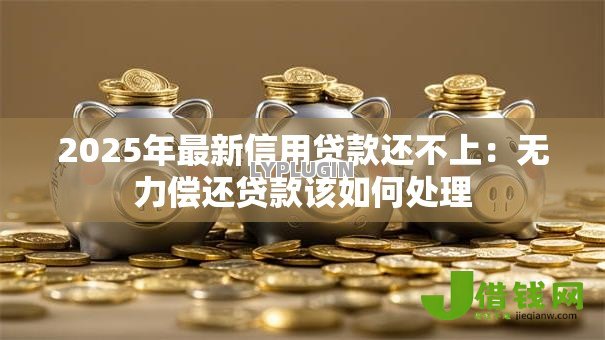 2025年最新信用贷款还不上：无力偿还贷款该如何处理