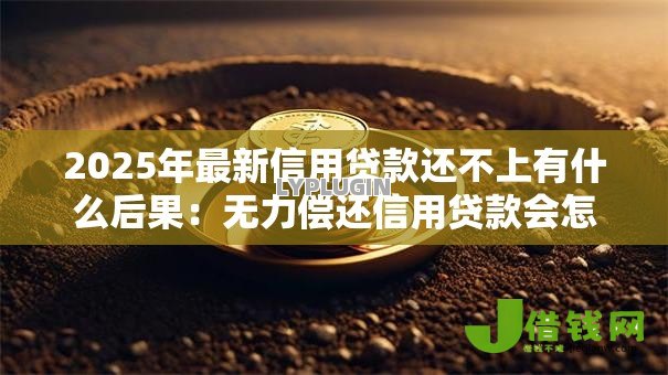 2025年最新信用贷款还不上有什么后果：无力偿还信用贷款会怎样