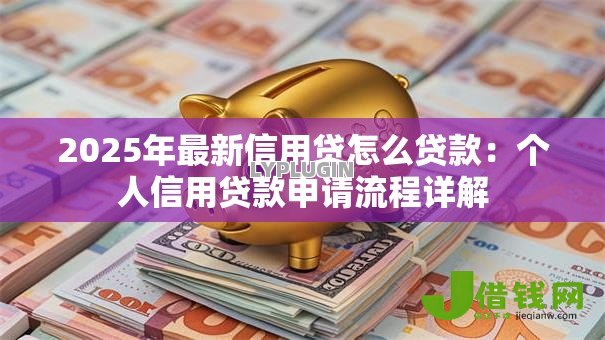 2025年最新信用贷怎么贷款:个人信用贷款申请流程详解 2025年最新信用贷怎么贷款:个人信用贷款申请流程详解