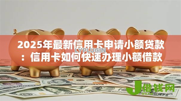 2025年最新信用卡申请小额贷款：信用卡如何快速办理小额借款