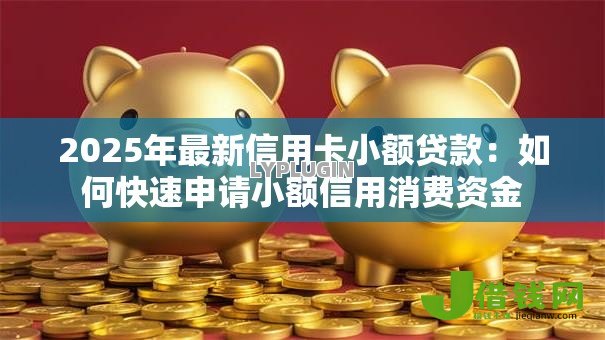 2025年最新信用卡小额贷款：如何快速申请小额信用消费资金