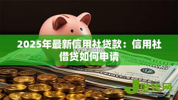 2025年最新信用社贷款：信用社借贷如何申请