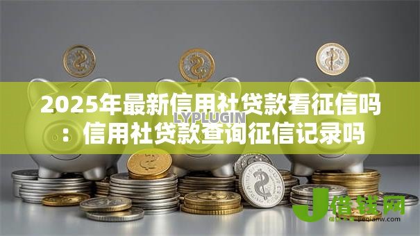 2025年最新信用社贷款看征信吗：信用社贷款查询征信记录吗