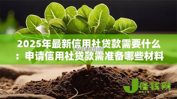 2025年最新信用社贷款需要什么:申请信用社贷款需准备哪些材料 2025年最新信用社贷款需要什么:申请信用社贷款需准备哪些材料