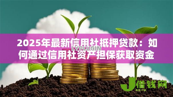 2025年最新信用社抵押贷款：如何通过信用社资产担保获取资金