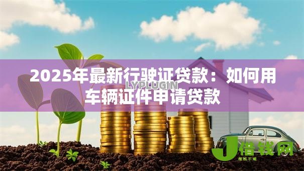 2025年最新行驶证贷款：如何用车辆证件申请贷款