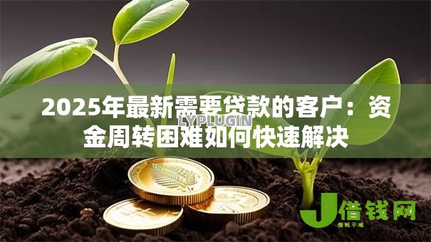2025年最新需要贷款的客户:资金周转困难如何快速解决 2025年最新需要贷款的客户:资金周转困难如何快速解决