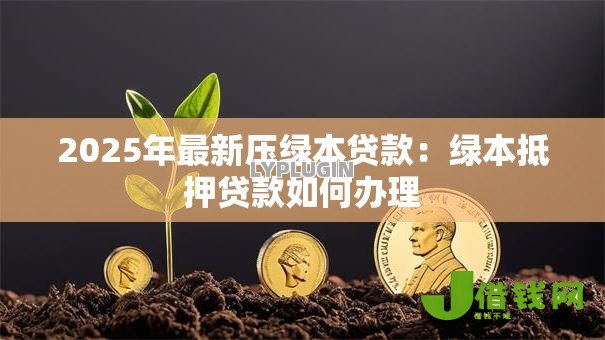 2025年最新压绿本贷款：绿本抵押贷款如何办理