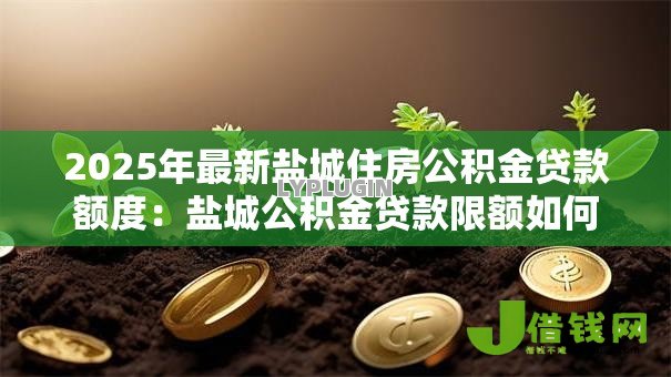 2025年最新盐城住房公积金贷款额度:盐城公积金贷款限额如何计算 2025年最新盐城住房公积金贷款额度:盐城公积金贷款限额如何计算