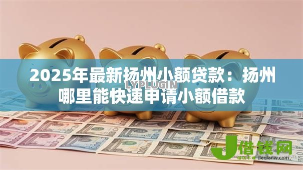 2025年最新扬州小额贷款:扬州哪里能快速申请小额借款 2025年最新扬州小额贷款:扬州哪里能快速申请小额借款