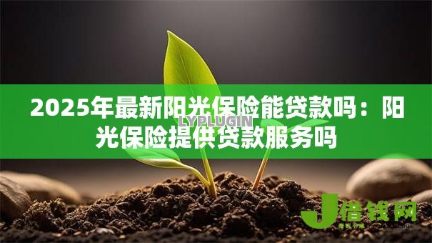 2025年最新阳光保险能贷款吗:阳光保险提供贷款服务吗 2025年最新阳光保险能贷款吗:阳光保险提供贷款服务吗