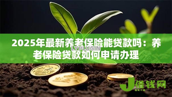 2025年最新养老保险能贷款吗：养老保险贷款如何申请办理