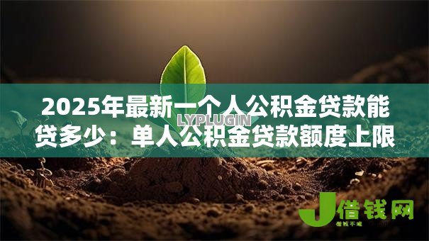 2025年最新一个人公积金贷款能贷多少：单人公积金贷款额度上限是多少