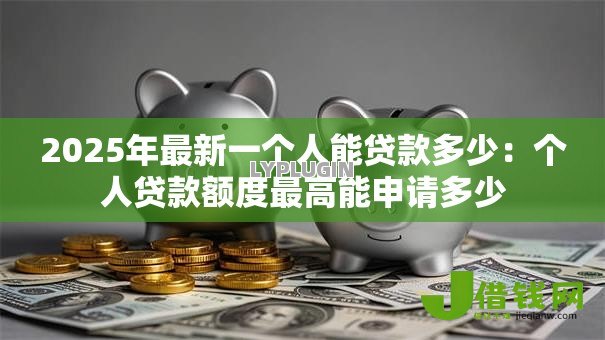 2025年最新一个人能贷款多少：个人贷款额度最高能申请多少