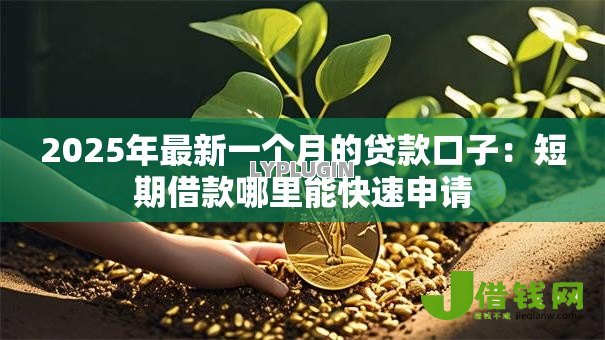 2025年最新一个月的贷款口子:短期借款哪里能快速申请 2025年最新一个月的贷款口子:短期借款哪里能快速申请